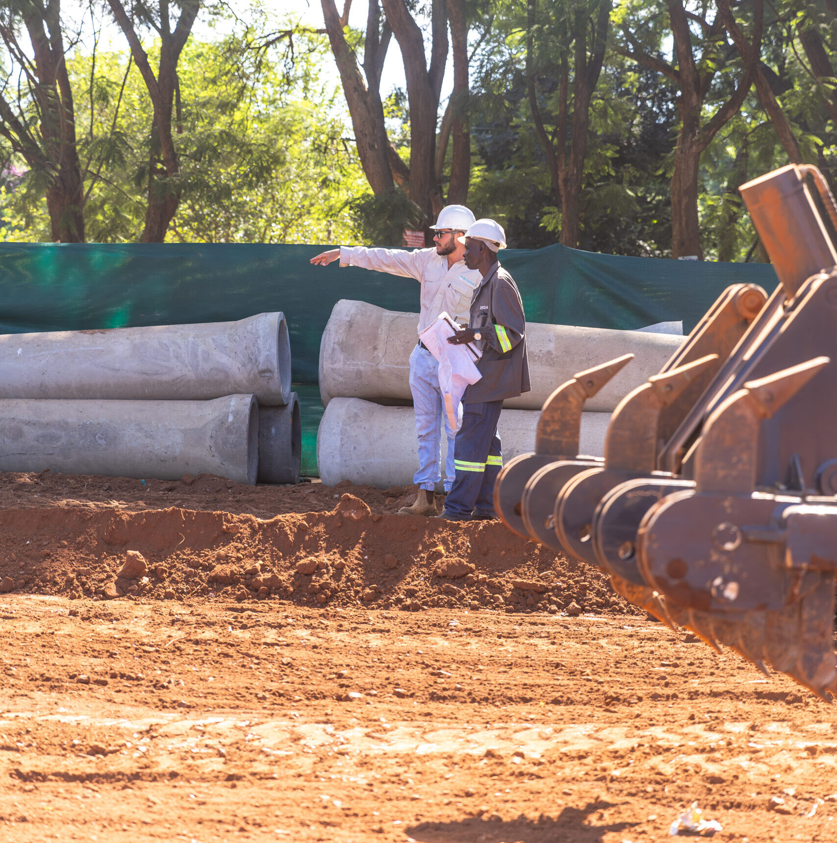 013A9508-Enhanced-NR (1)